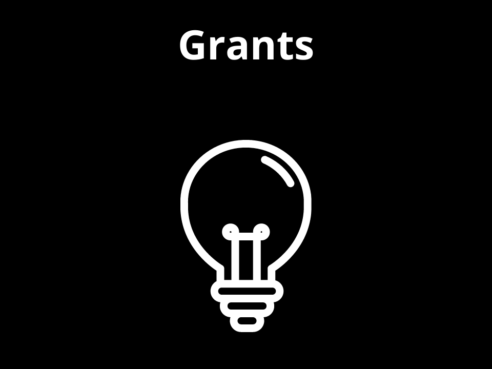 Link to the grants page Link to the grants page
